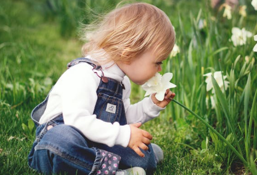 怀孕几个月能看出宝宝的性别.png 怀孕几个月能看出宝宝的性别.png