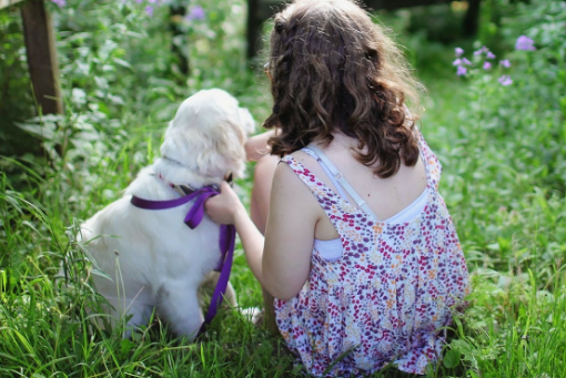 怀孕几个月可以知道孩子性别.png 怀孕几个月可以知道孩子性别.png