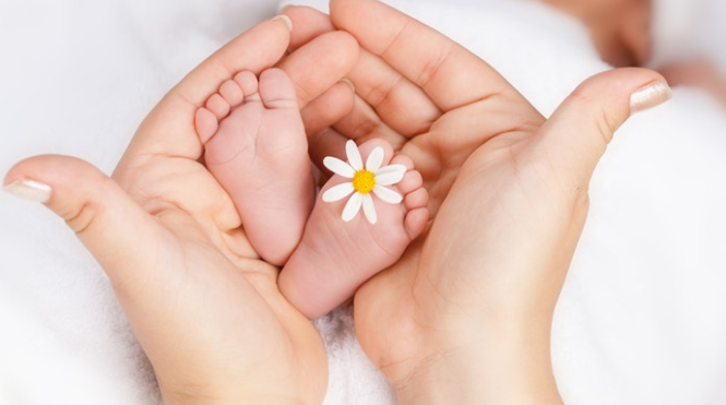 卵泡越大越圆就越容易怀儿子是真的吗?影响性别因素有哪些?.png 卵泡越大越圆就越容易怀儿子是真的吗?影响性别因素有哪些?.png